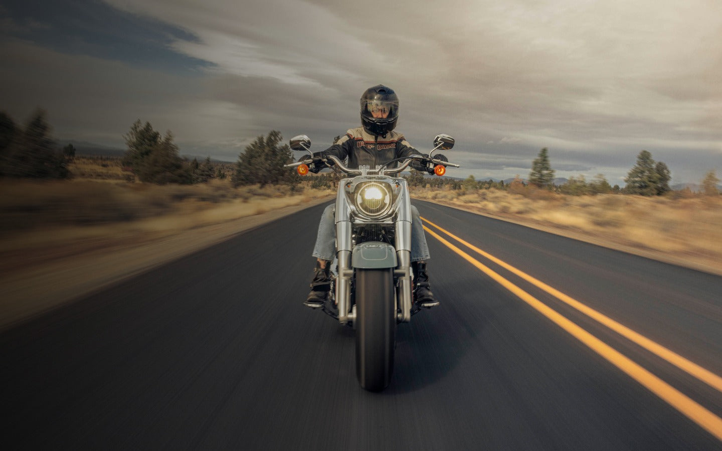 2024 Harley-Davidson Cruiser