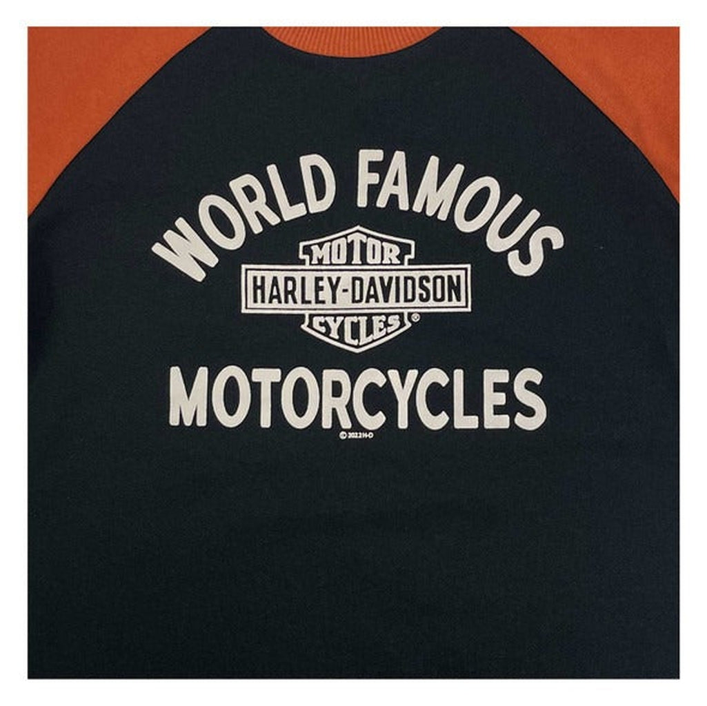 Harley-Davidson Boys World Famous Pullover-Rolling Thunder Harley-Davidson
