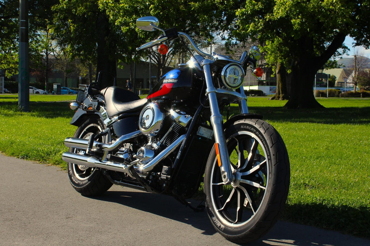 2019 H-D Low Rider