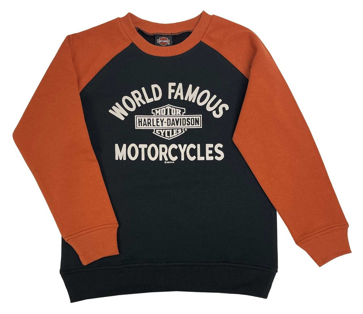 Harley davidson sweater sale