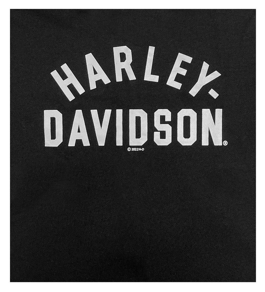 Harley-Davidson Boys/Girls Zip Front Colourblock Hoodie-Rolling Thunder Harley-Davidson